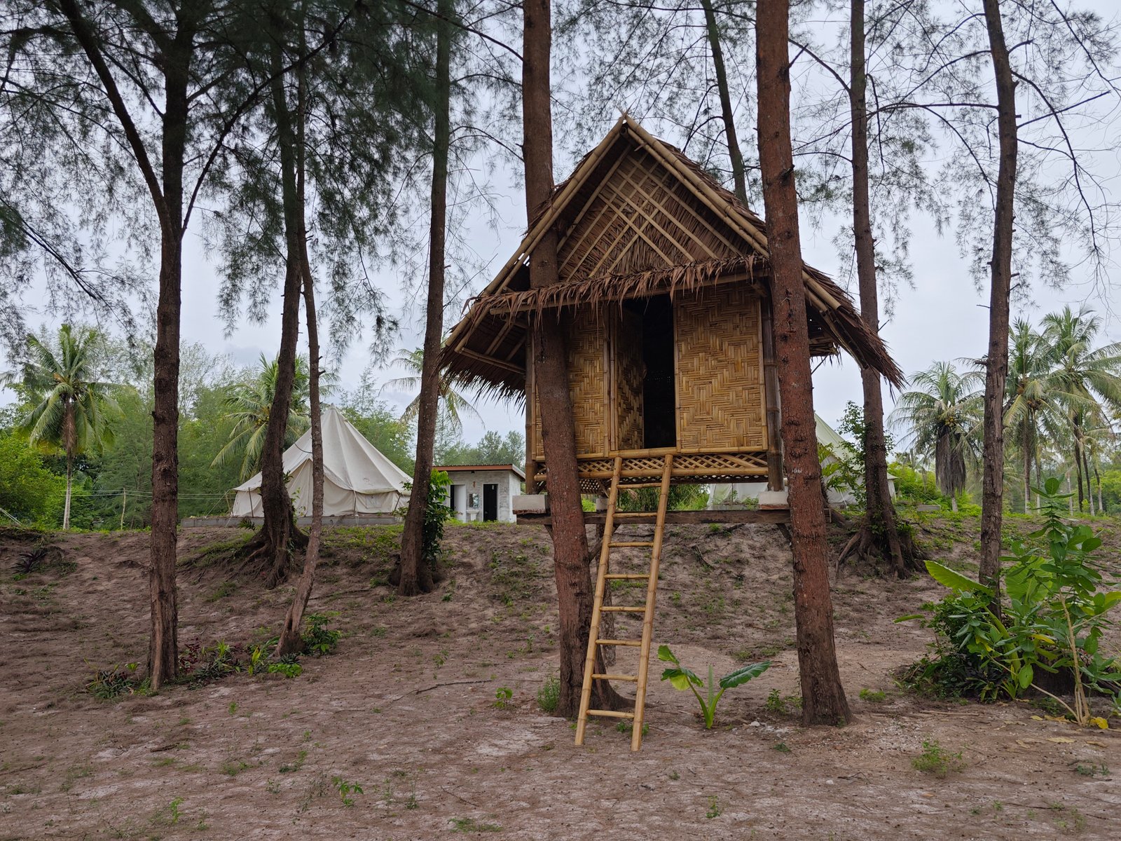 Accommodations in tree with fan